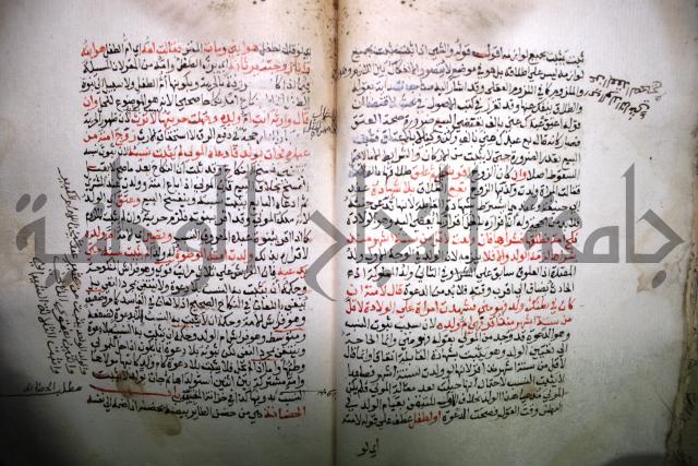 درر الحكام في شرح غرر الاحكام 