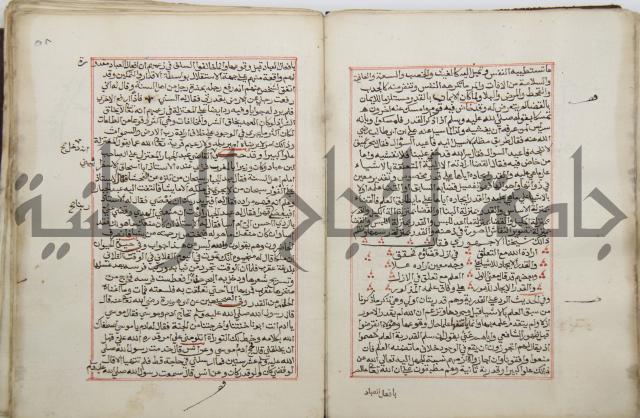 كتاب الفتوحات الالهية بشرح الاربعين النووية 