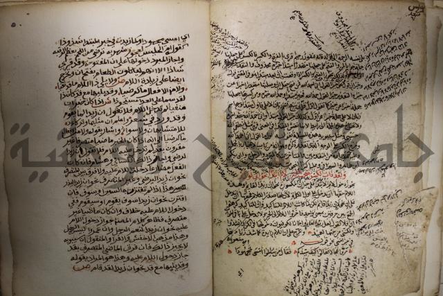 كتاب شرح الألفية للعلامة ابن عقيل