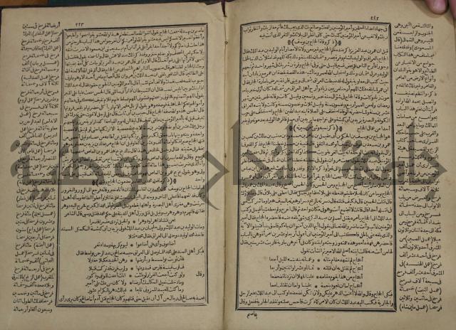 تاريخ الكامل وبهامشه تاريخ مروج الذهب ومعادن الجوهر لامام ابن الحسن بن الحسين المسعود