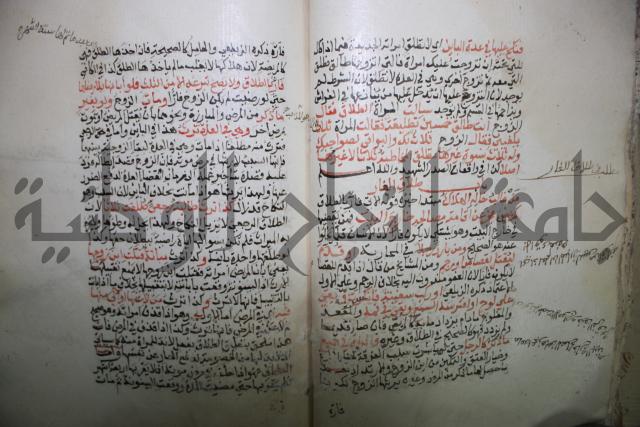 درر الحكام في شرح غرر الاحكام 