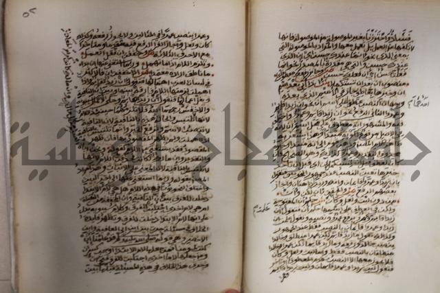كتاب شرح الألفية للعلامة ابن عقيل