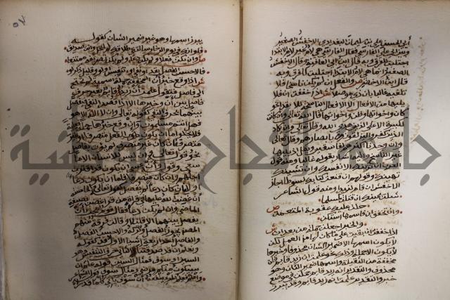 كتاب شرح الألفية للعلامة ابن عقيل