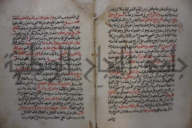 كتاب الغريب المجيب في حل الفاظ التقريب