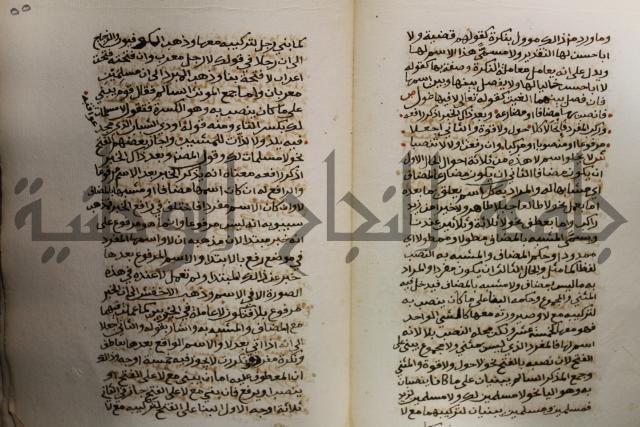 كتاب شرح الألفية للعلامة ابن عقيل