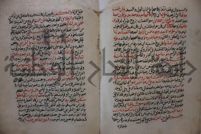 كتاب الغريب المجيب في حل الفاظ التقريب