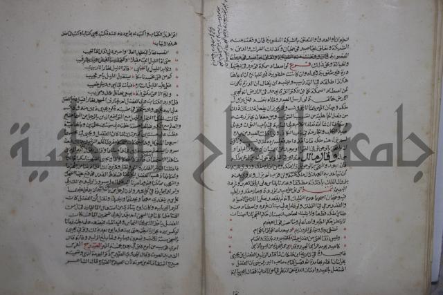 حياة الحيوان الكبرى