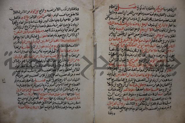 كتاب الغريب المجيب في حل الفاظ التقريب