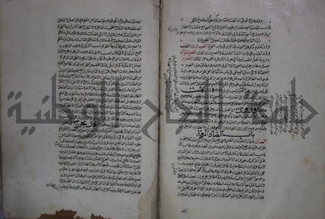 حياة الحيوان الكبرى