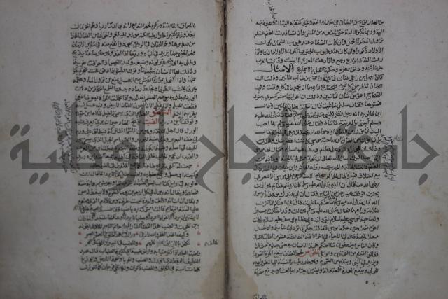 حياة الحيوان الكبرى