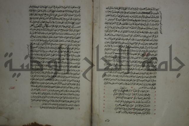 حياة الحيوان الكبرى