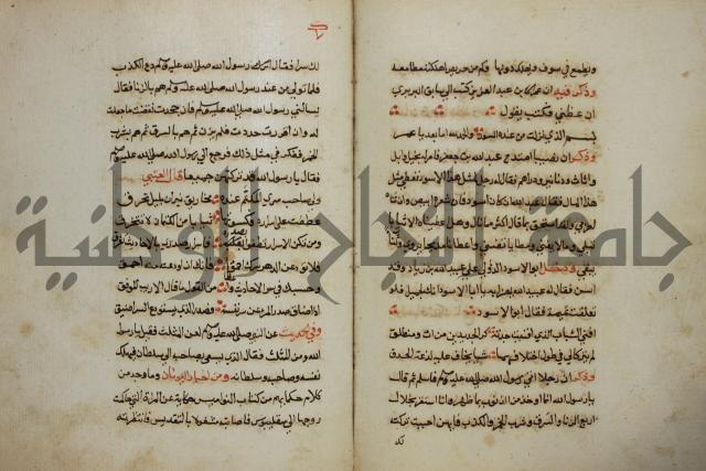 كتاب حياة الأنفس