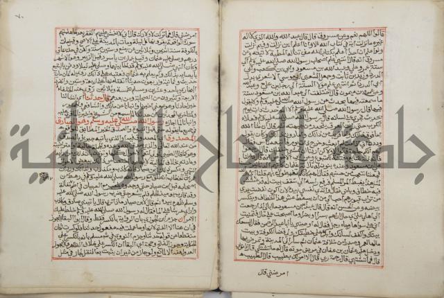 كتاب الفتوحات الالهية بشرح الاربعين النووية 