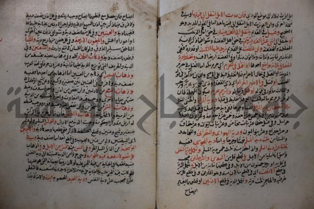 كتاب الغريب المجيب في حل الفاظ التقريب