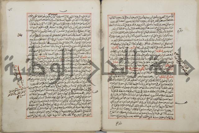 كتاب الفتوحات الالهية بشرح الاربعين النووية 