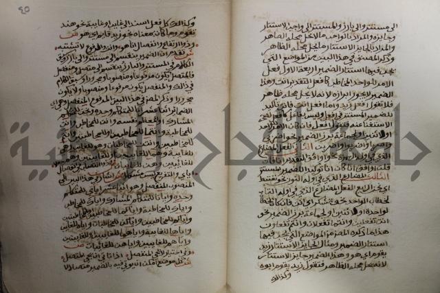 كتاب شرح الألفية للعلامة ابن عقيل