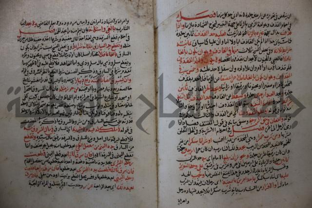 كتاب الغريب المجيب في حل الفاظ التقريب