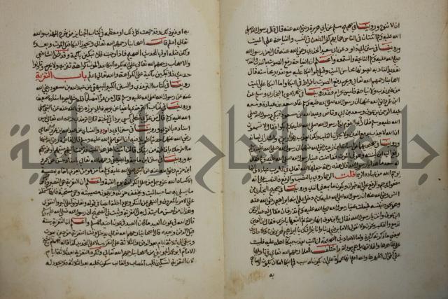 كتاب حلية الابرار وشعار الاخيار في تحقيق الدعوات والاذكار المستحبة في الليل والنهار