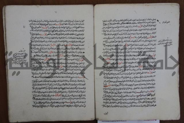 حاشية احمد الزرقاني المعروف بابن فجلة على القواعد وشرحها  
