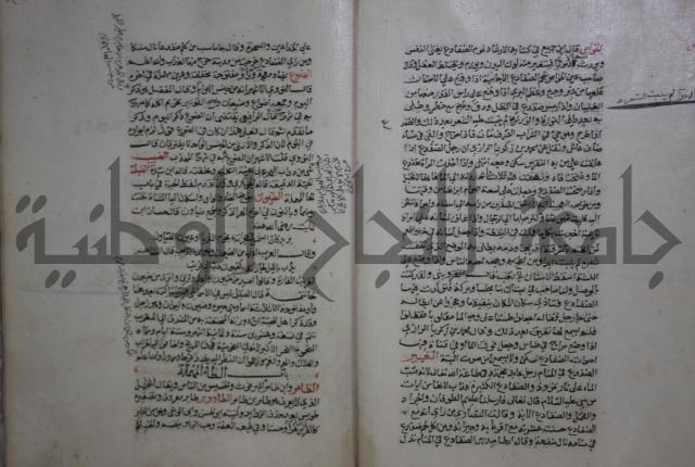 حياة الحيوان الكبرى