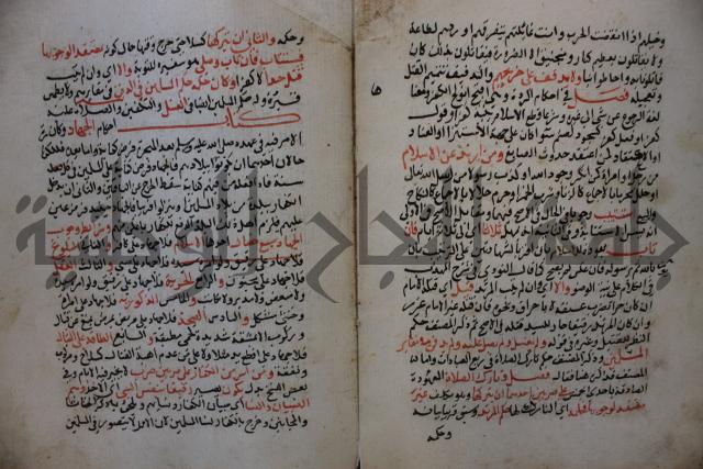 كتاب الغريب المجيب في حل الفاظ التقريب