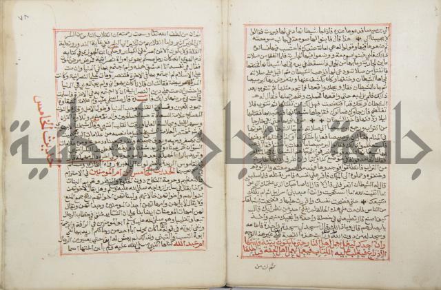 كتاب الفتوحات الالهية بشرح الاربعين النووية 