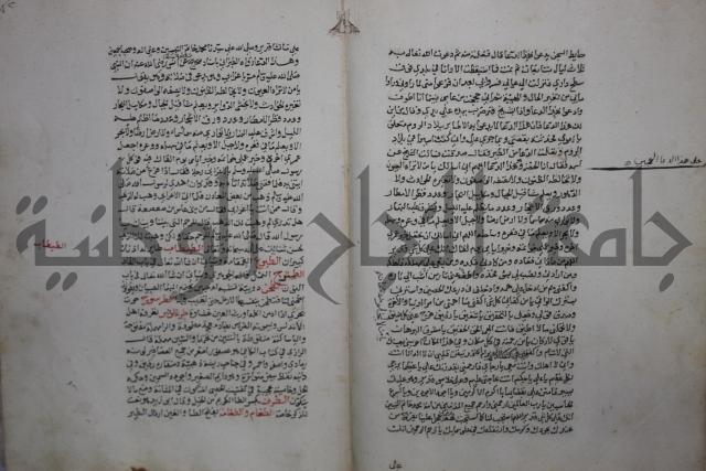 حياة الحيوان الكبرى