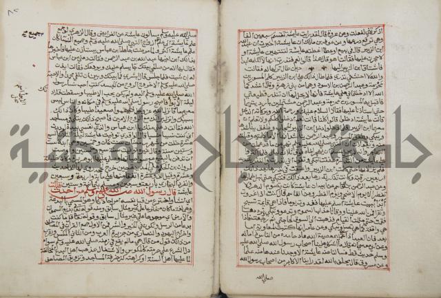 كتاب الفتوحات الالهية بشرح الاربعين النووية 