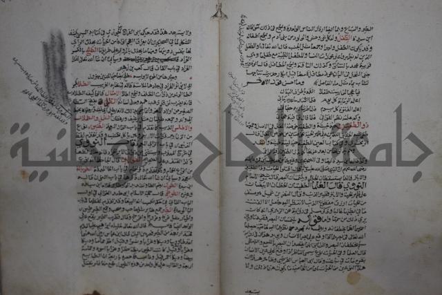 حياة الحيوان الكبرى