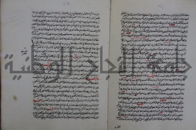 حاشية احمد الزرقاني المعروف بابن فجلة على القواعد وشرحها  