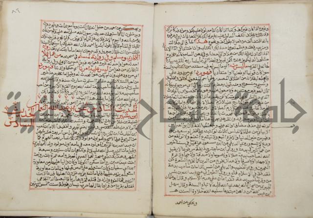 كتاب الفتوحات الالهية بشرح الاربعين النووية 