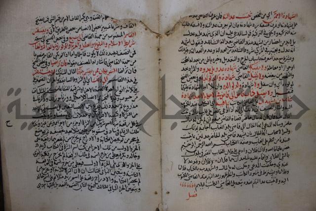 كتاب الغريب المجيب في حل الفاظ التقريب