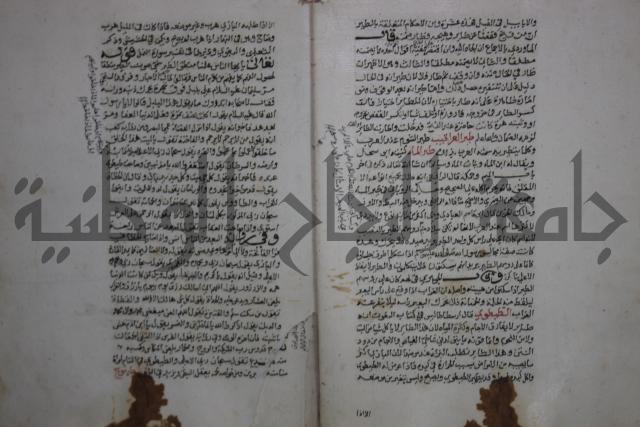 حياة الحيوان الكبرى