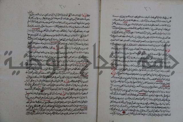 حاشية احمد الزرقاني المعروف بابن فجلة على القواعد وشرحها  