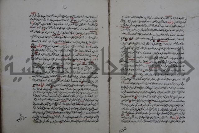 حاشية احمد الزرقاني المعروف بابن فجلة على القواعد وشرحها  