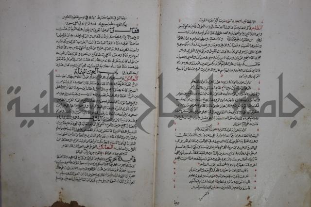 حياة الحيوان الكبرى