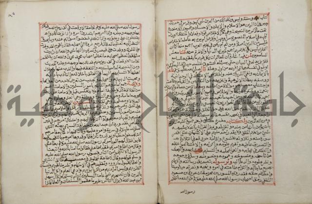 كتاب الفتوحات الالهية بشرح الاربعين النووية 