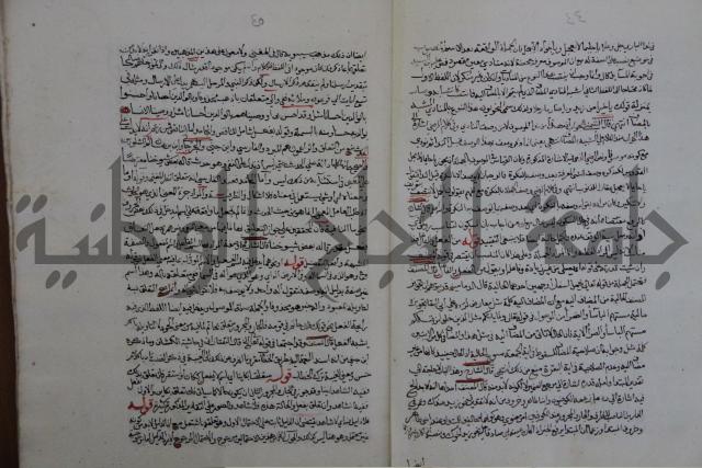 حاشية احمد الزرقاني المعروف بابن فجلة على القواعد وشرحها  