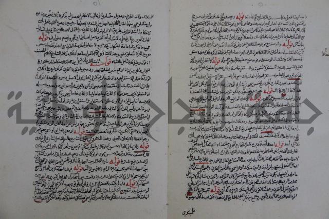 حاشية احمد الزرقاني المعروف بابن فجلة على القواعد وشرحها  