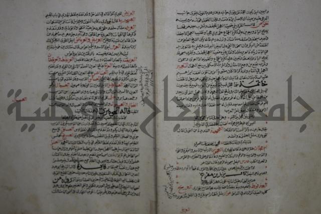 حياة الحيوان الكبرى