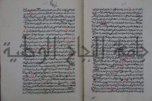حاشية احمد الزرقاني المعروف بابن فجلة على القواعد وشرحها  