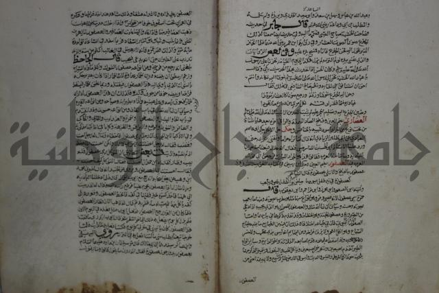 حياة الحيوان الكبرى