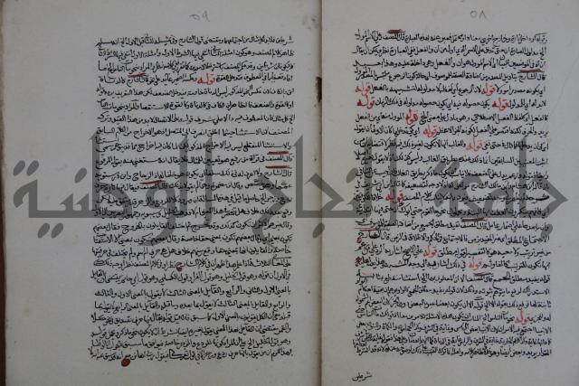 حاشية احمد الزرقاني المعروف بابن فجلة على القواعد وشرحها  