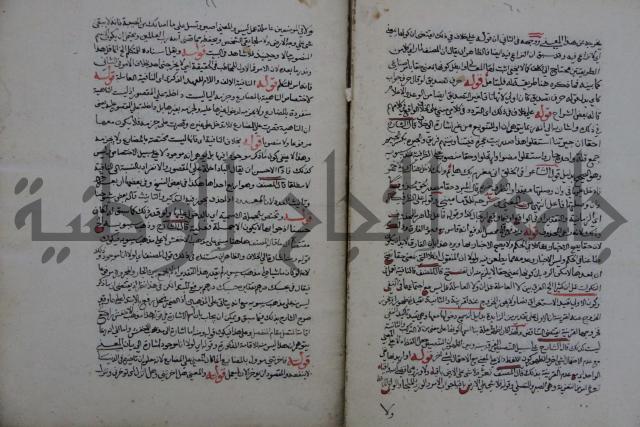 حاشية احمد الزرقاني المعروف بابن فجلة على القواعد وشرحها  