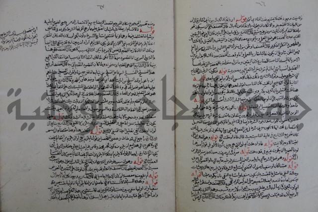 حاشية احمد الزرقاني المعروف بابن فجلة على القواعد وشرحها  