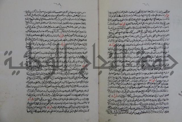 حاشية احمد الزرقاني المعروف بابن فجلة على القواعد وشرحها  