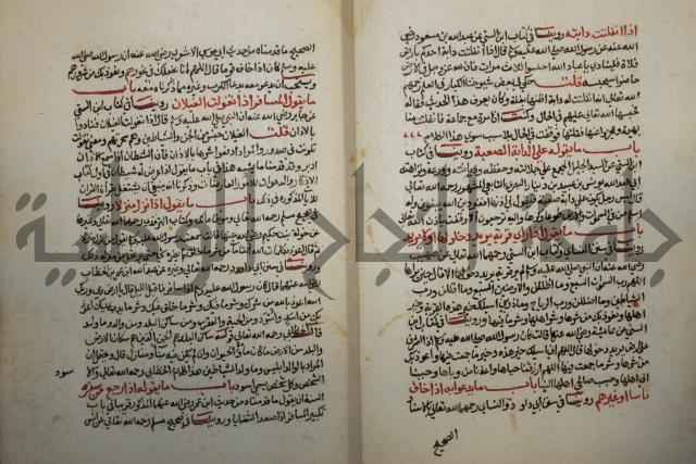 كتاب حلية الابرار وشعار الاخيار في تحقيق الدعوات والاذكار المستحبة في الليل والنهار