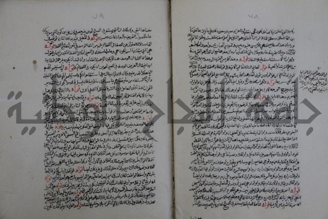 حاشية احمد الزرقاني المعروف بابن فجلة على القواعد وشرحها  
