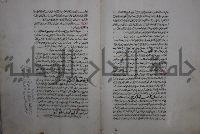 حياة الحيوان الكبرى