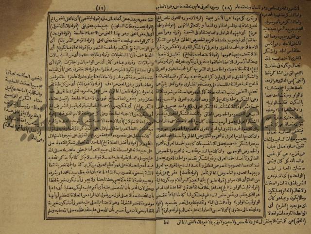 المستصغى من علم الاصول